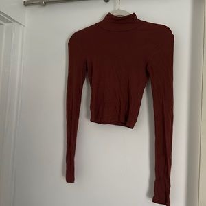 Aritzia Wilfred Turtle Neck